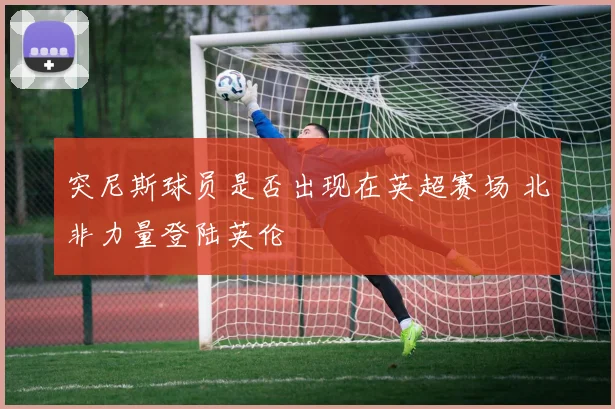 突尼斯球员是否出现在英超赛场 北非力量登陆英伦