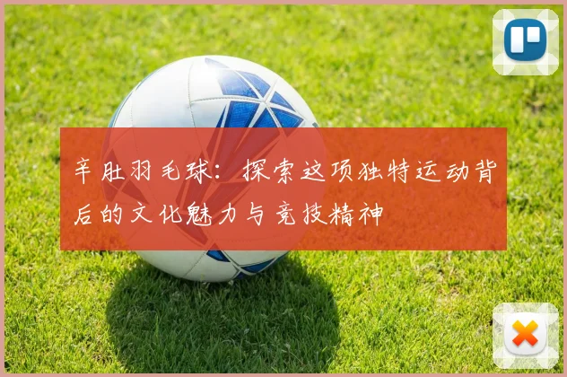 辛肚羽毛球：探索这项独特运动背后的文化魅力与竞技精神